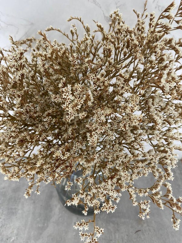 Matricaria Seca Blanca