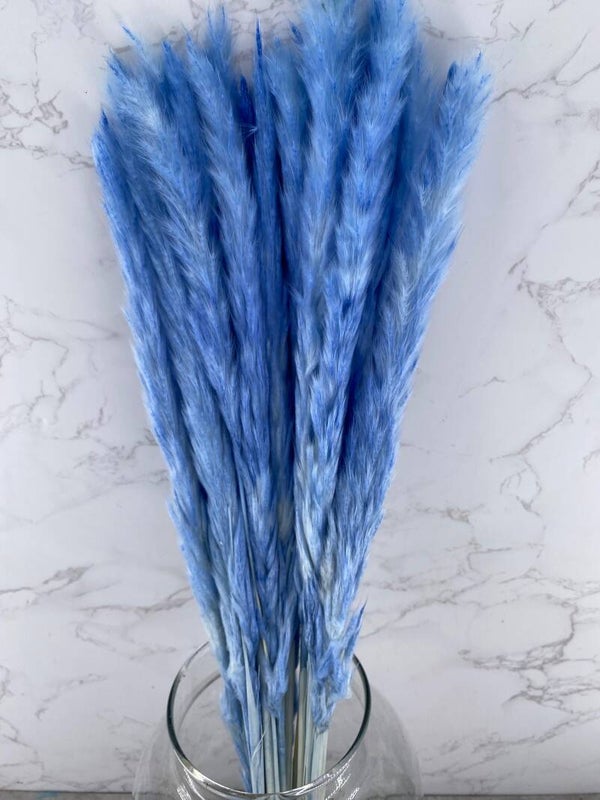 Mini Pluma Celeste