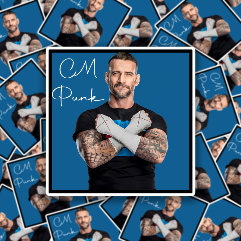 cm-punk-standard.png