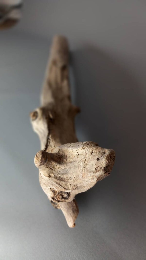 Einzelstück Unikat aus Hunderten schönen Treibhölzern ausgesucht