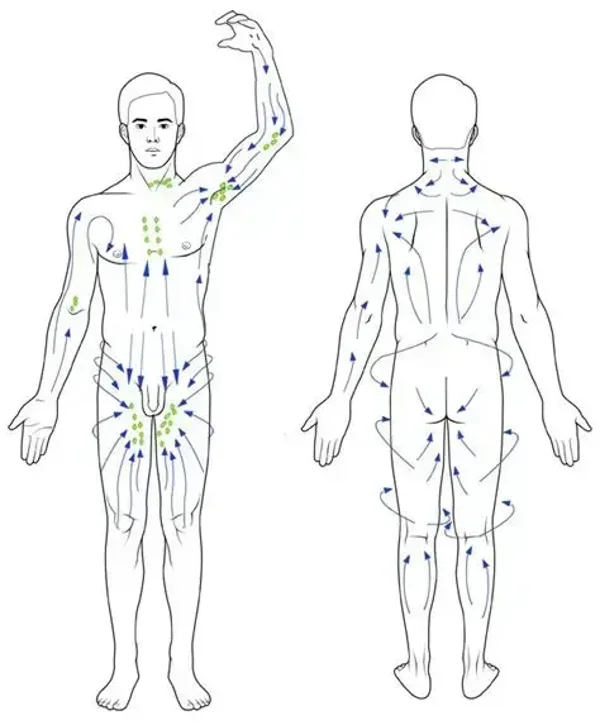 Angebot 5: Faszien- und Lymphmassage