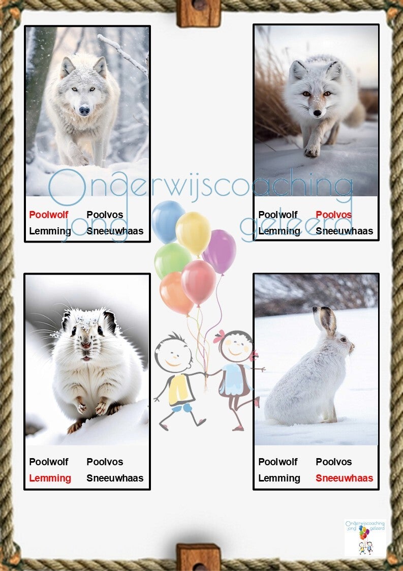 Wilde dieren kwartet🦁🐯🦒🦊