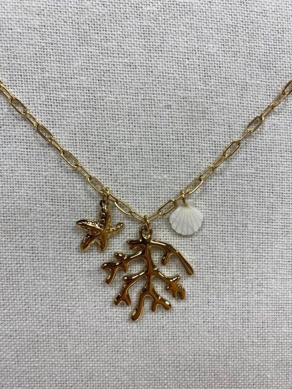 Collier en Acier Inoxydable
