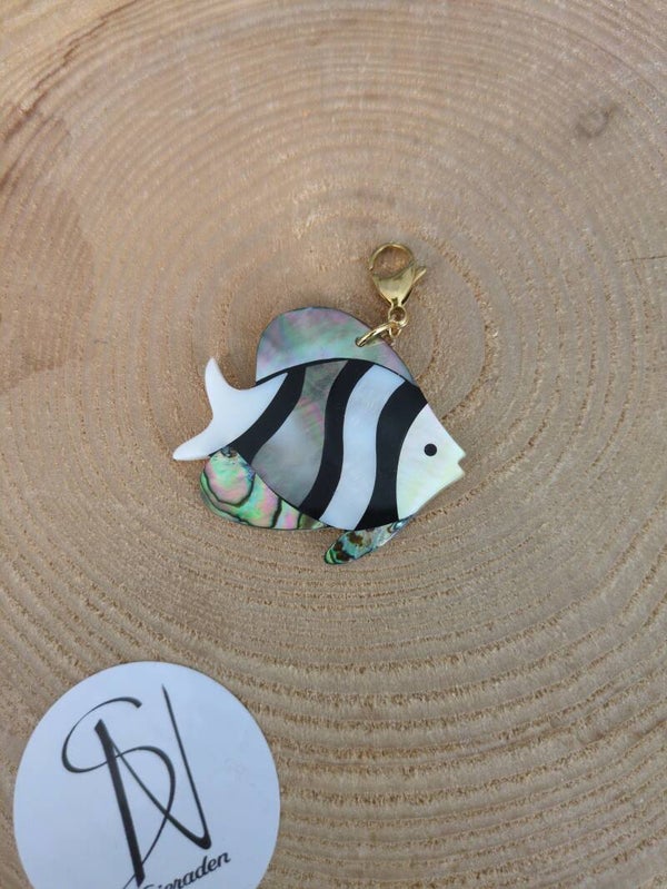 Shells Fish bedel