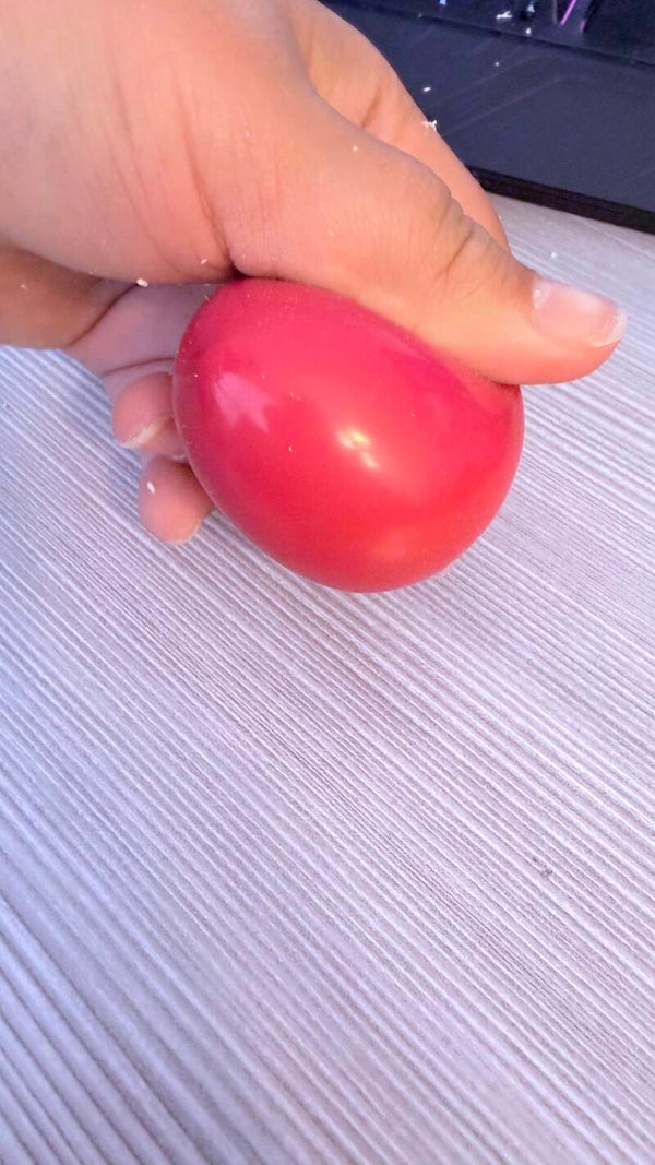 Crunchy Satisfying Squishy