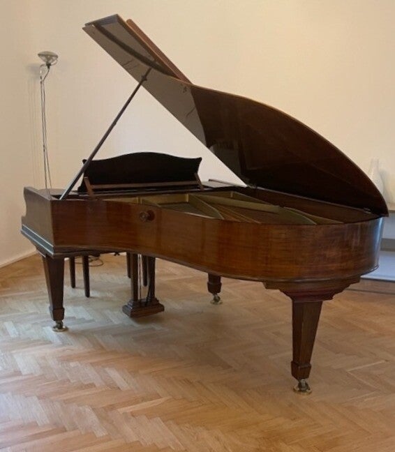 Flygel i Falsterbo har fått nya gångjärn till vackert flygellock 