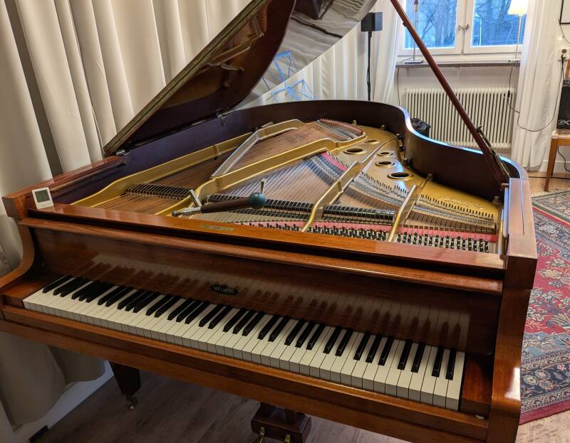 Stämning av Malmsjöflygel