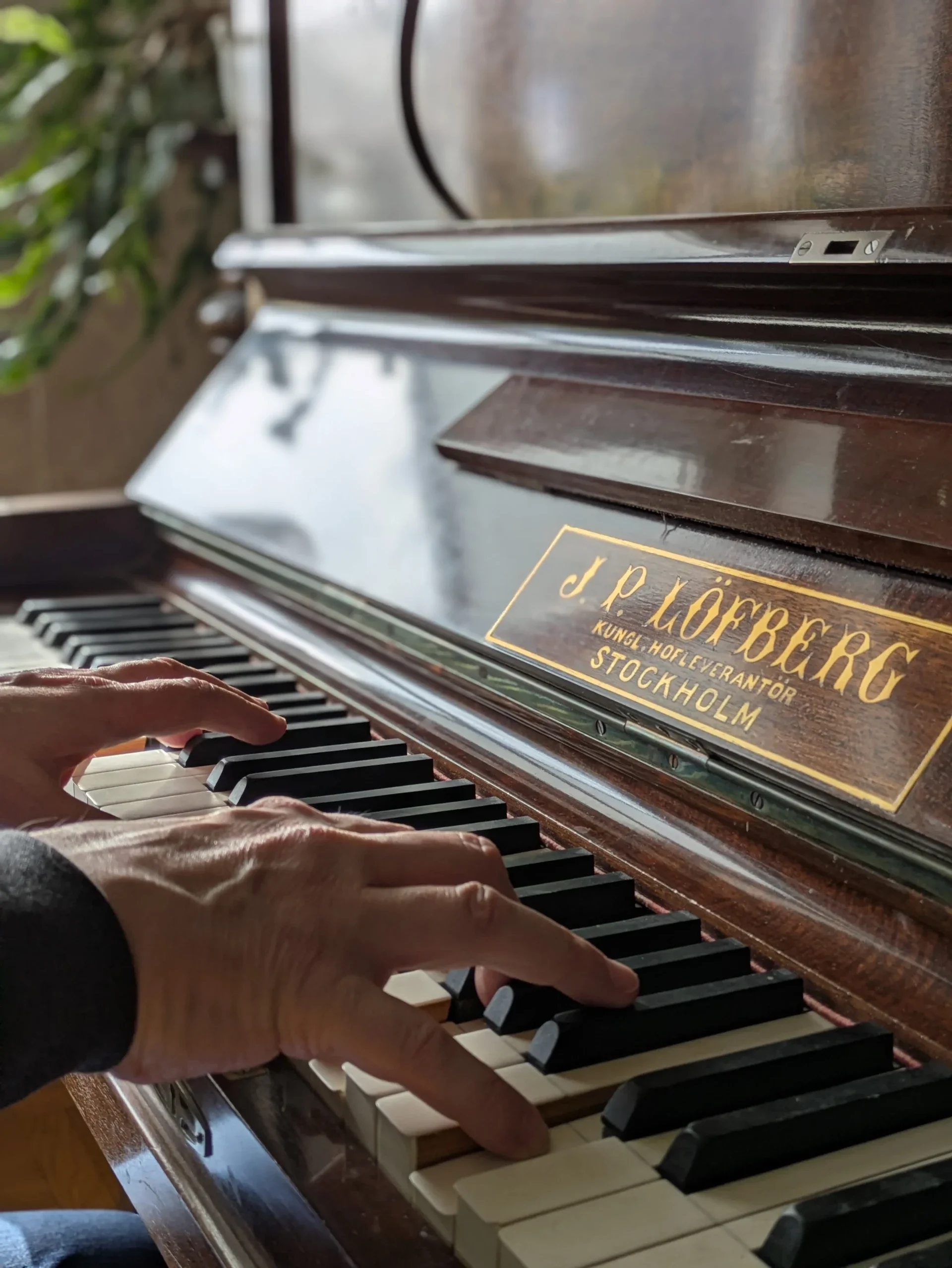 Foto: Anne Winnberg. Pianist vid pianot