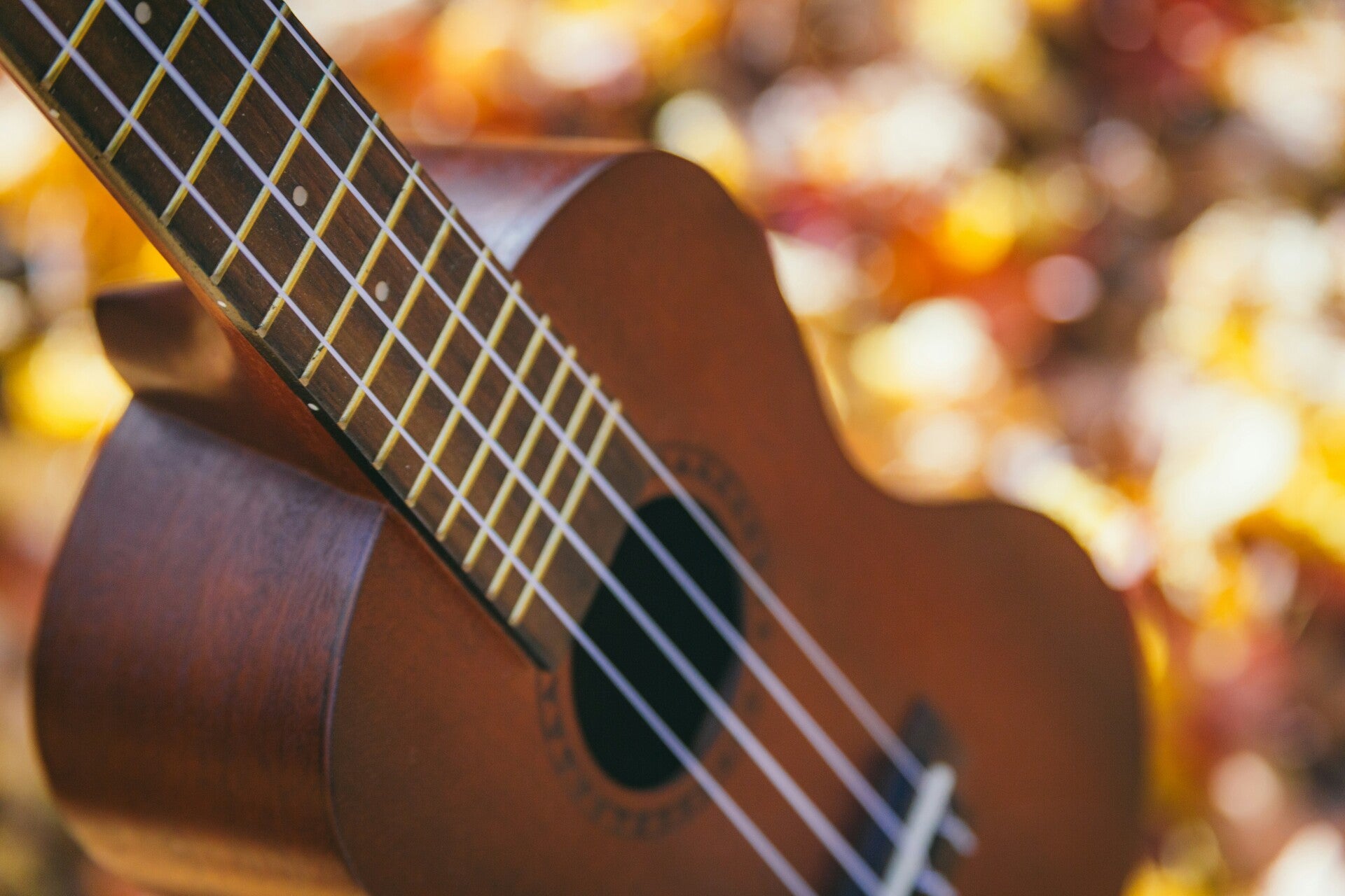 Foto (Ukulele): Zooey Li/Unsplash