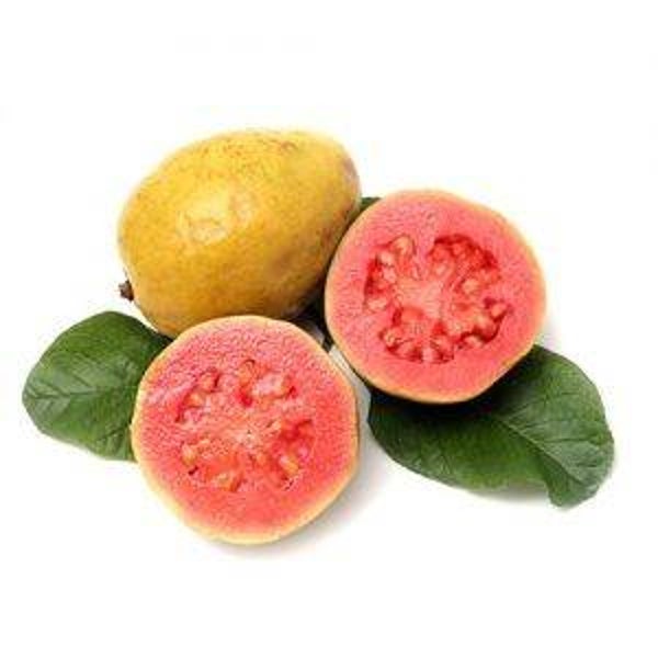 Guayaba Rosa Valenciana: El Tesoro Tropical Cultivado Bajo el Sol del Mediterráneo