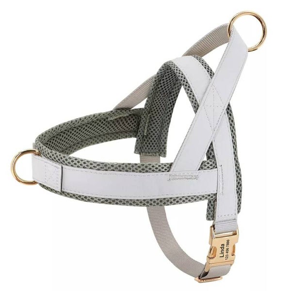 ARNES ÉLÉGANT PERSONALIZADO