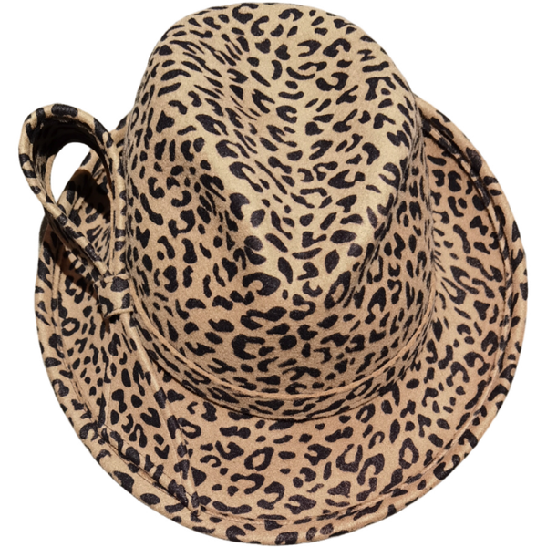 Fedora ocelot