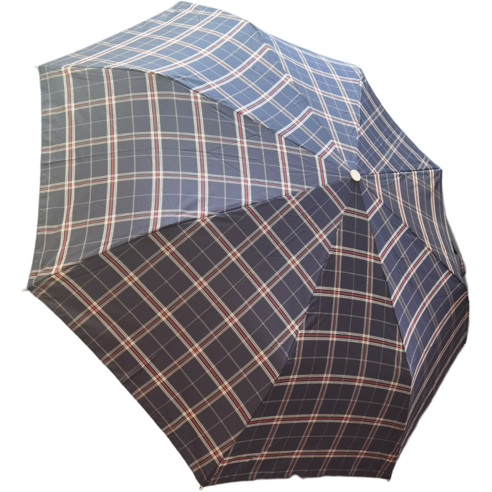 Auto écossais 171 3