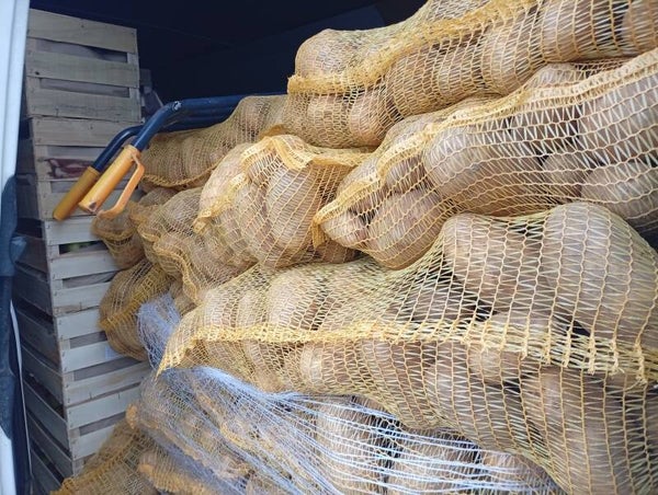 Pommes de terre