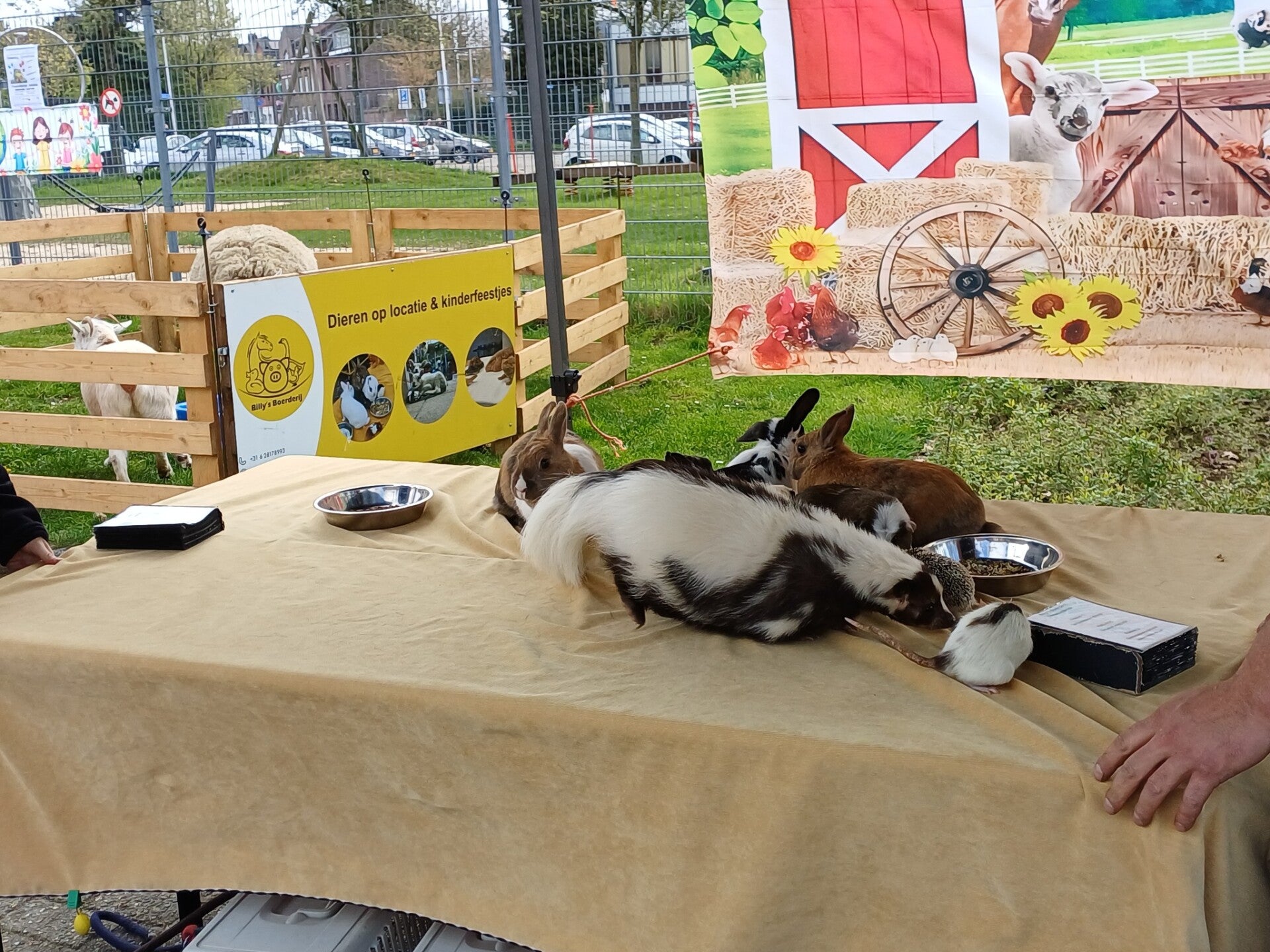 foto-12-kopie-standard.jpg