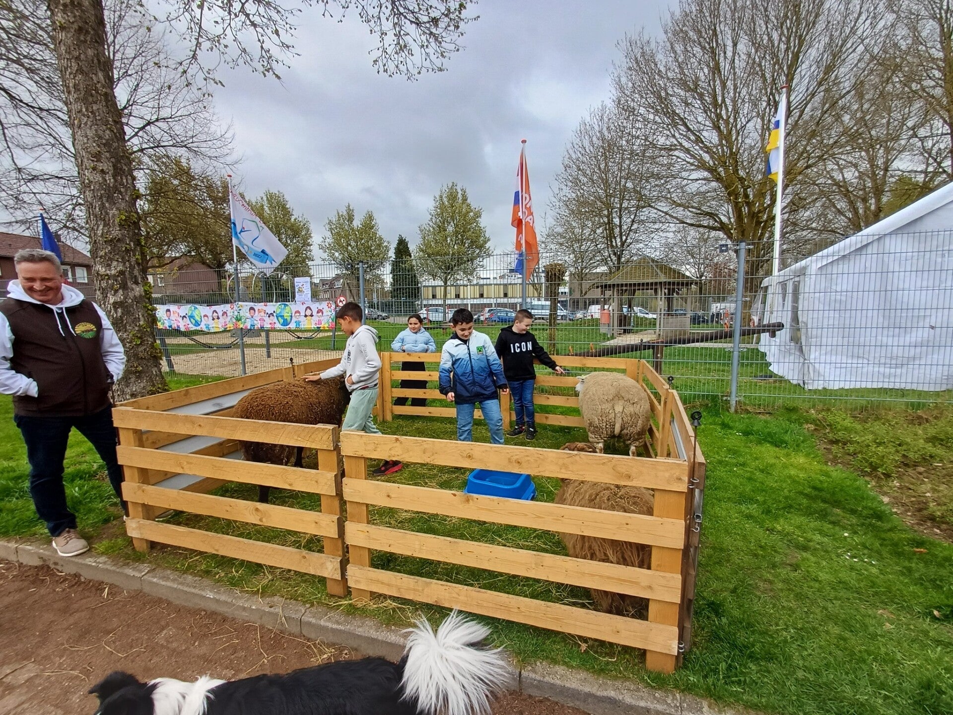 foto-2-kopie-standard.jpg