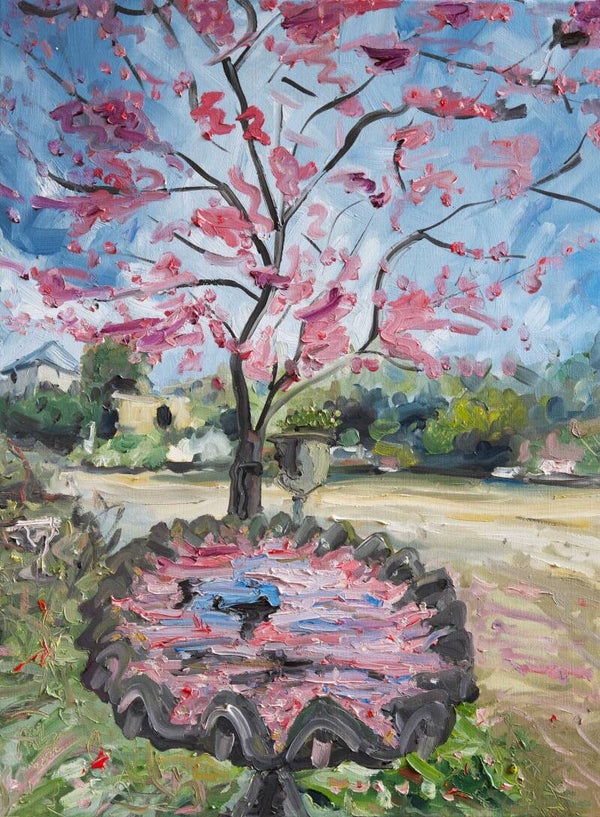 Bird Bath