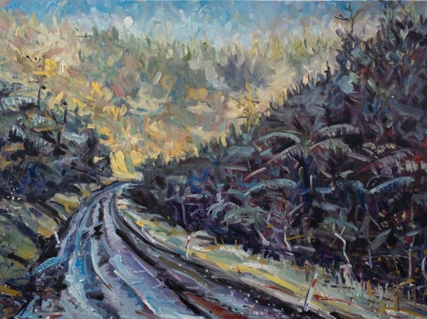 Frosty morning in the Tangarakau