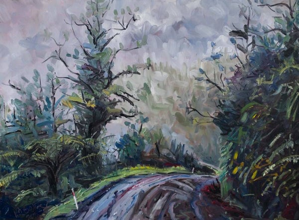 Moki Road