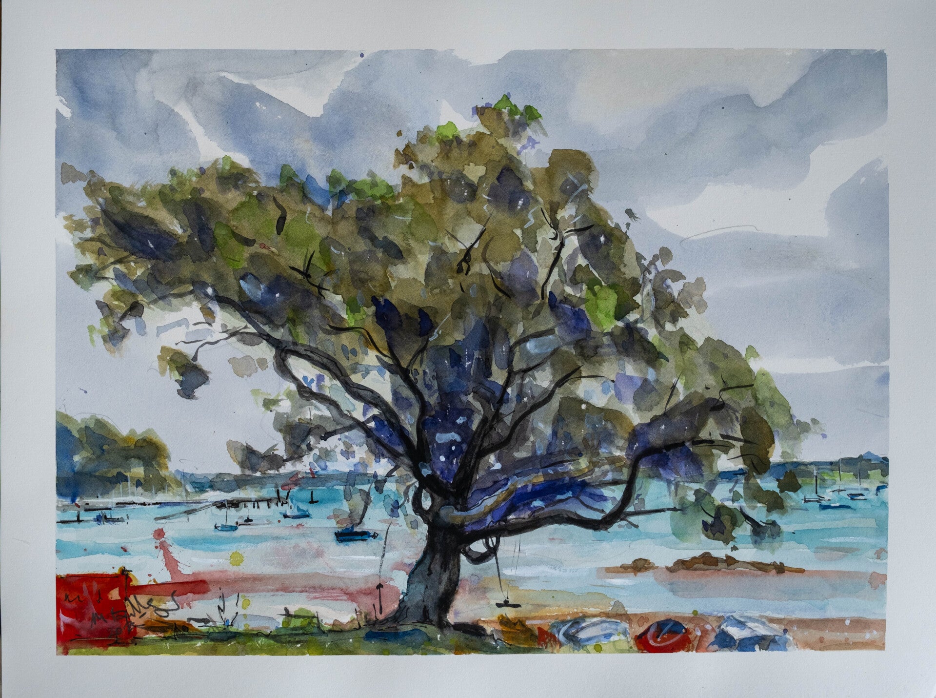 Northland beach tree - SOLD
