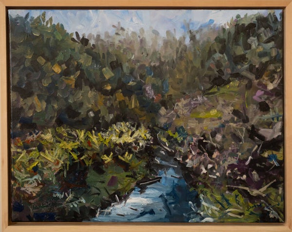 Tangarakau River