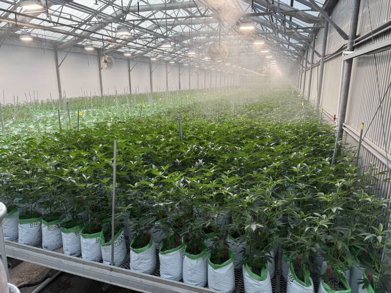 Veg-Bay-standard.jpg