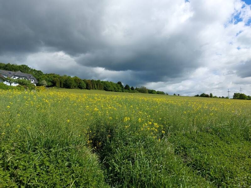 Obererbach