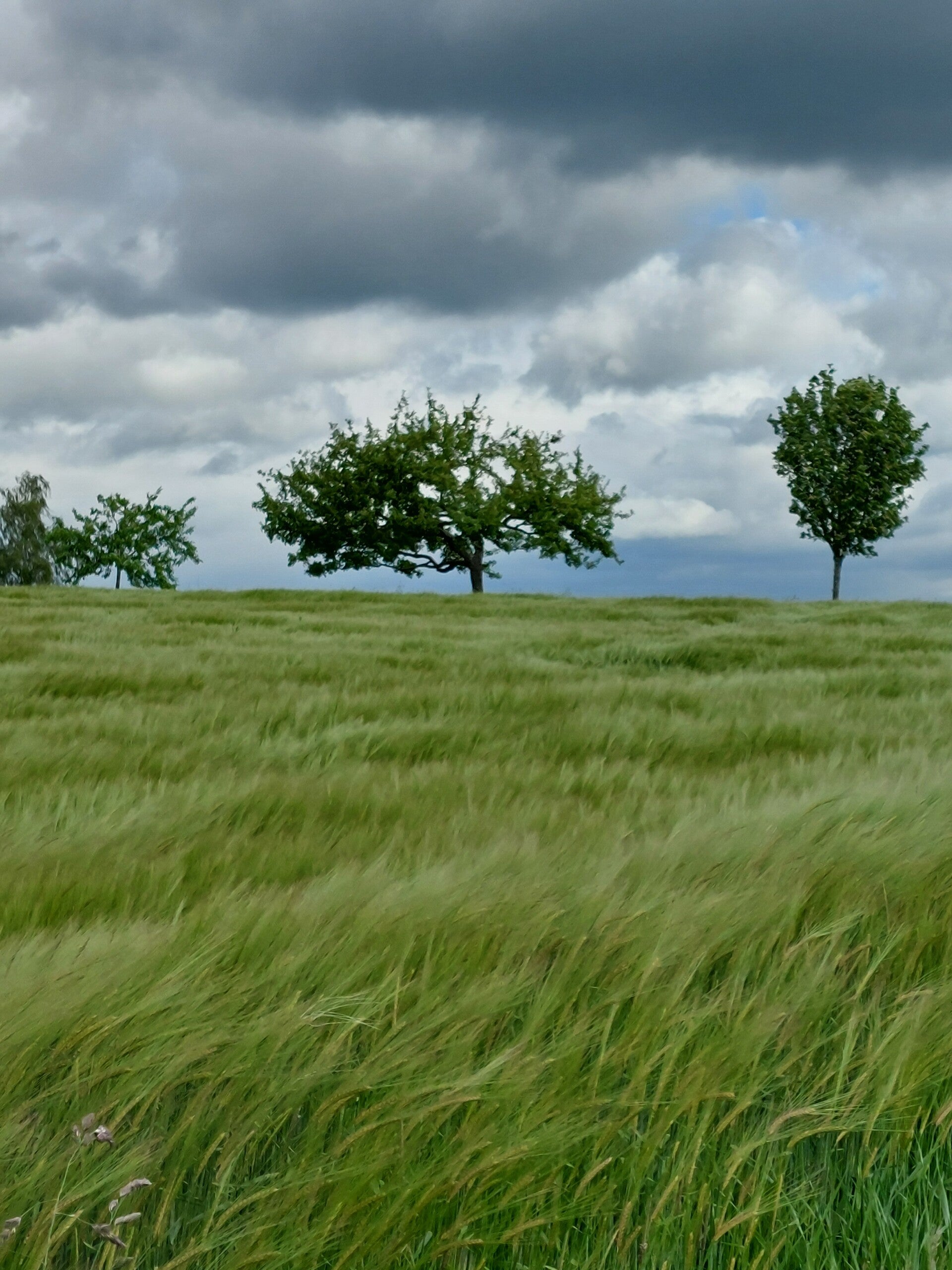 Obererbach nach Malmeneich