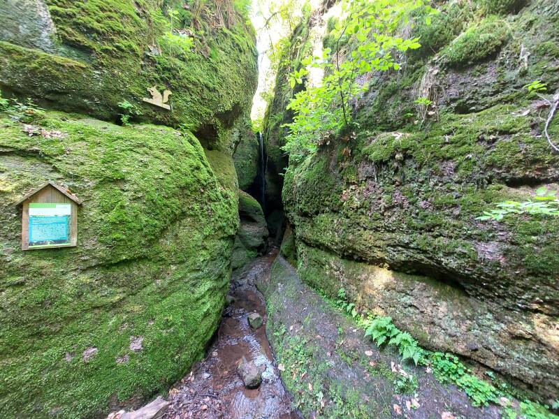 #Drachenschlucht#Wartburg#Eisenach#ThüringerWald
