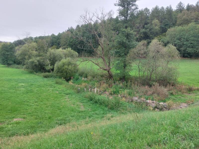 Niedererbach Auffangbehälter