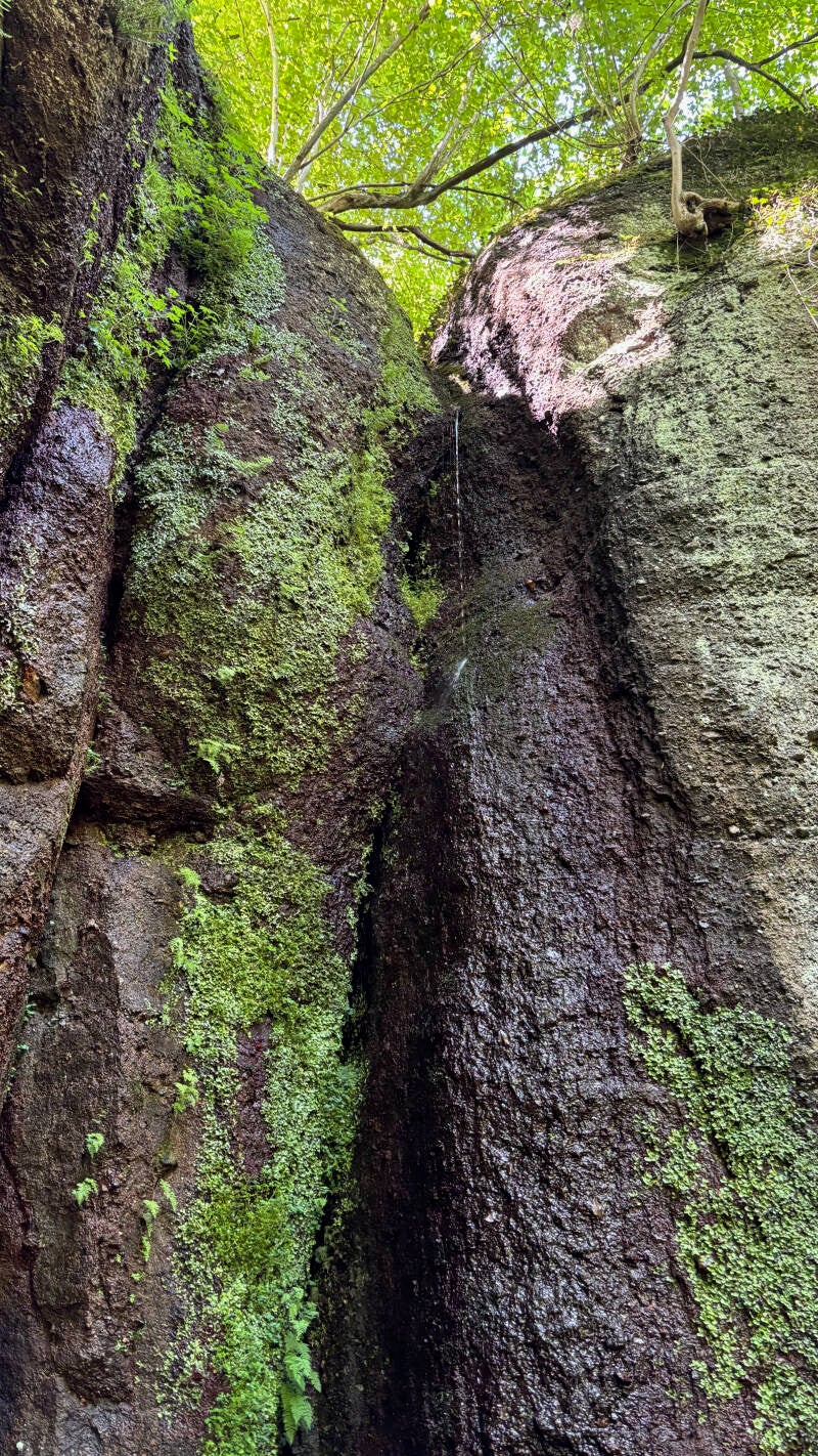 #Drachenschlucht#Wartburg#Eisenach#ThüringerWald
