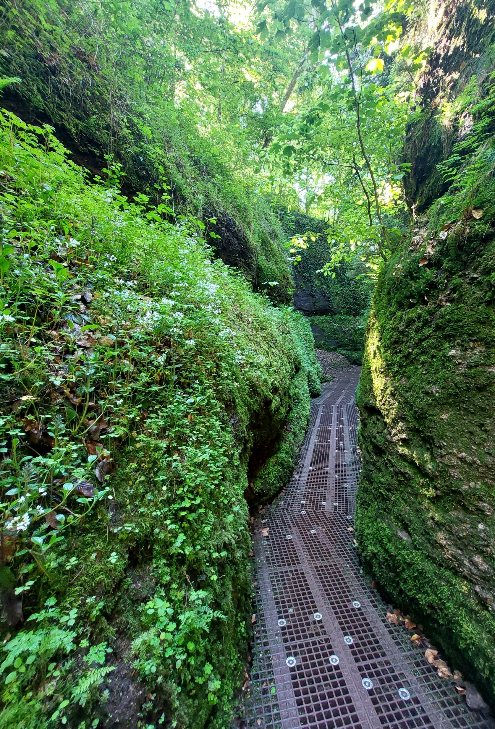#Drachenschlucht#Wartburg#Eisenach#ThüringerWald