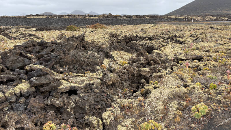 Naturpark Los Volcanes im Süden von Lanzarote - Juni 2026