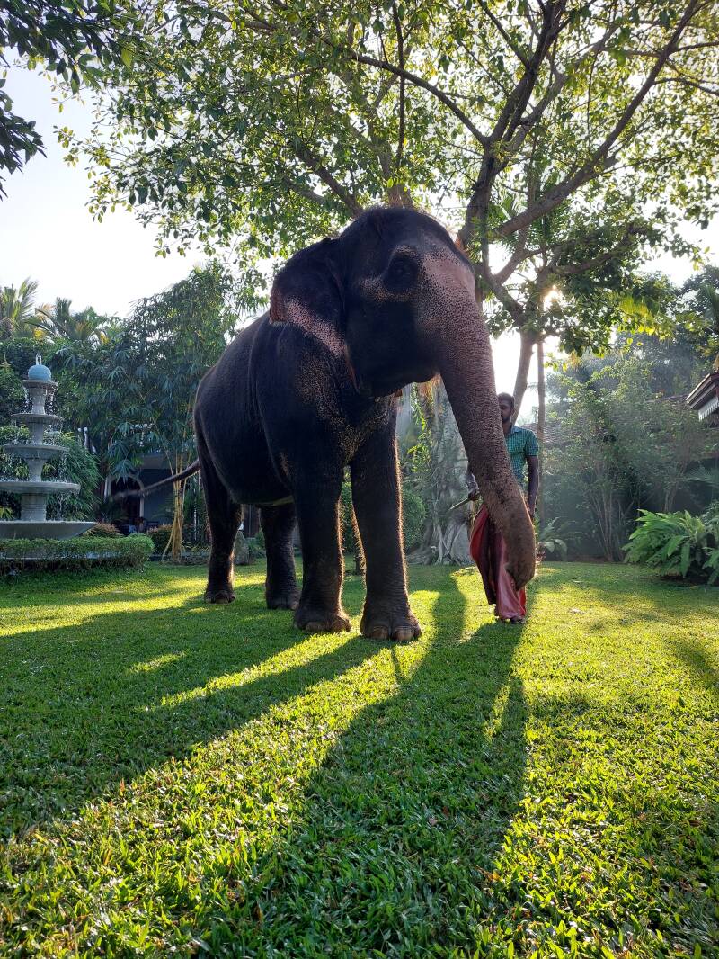 Sri Lanka, Aluthgama