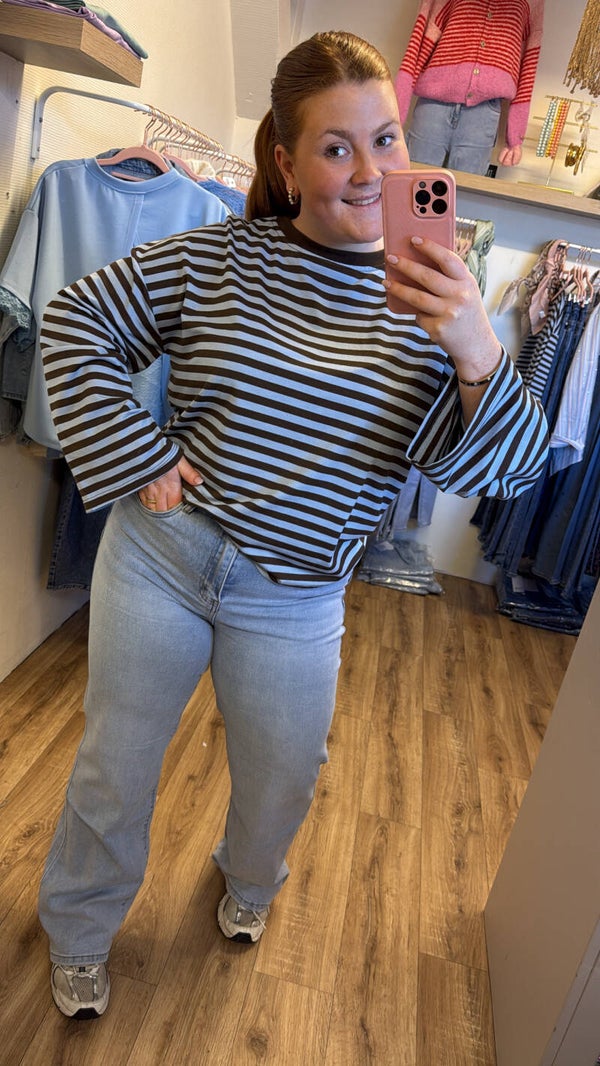 Striped longsleeve - Blauw bruin