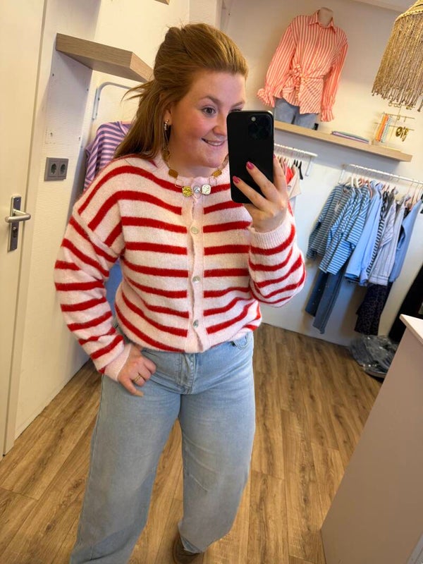 Vest Striped - Roze