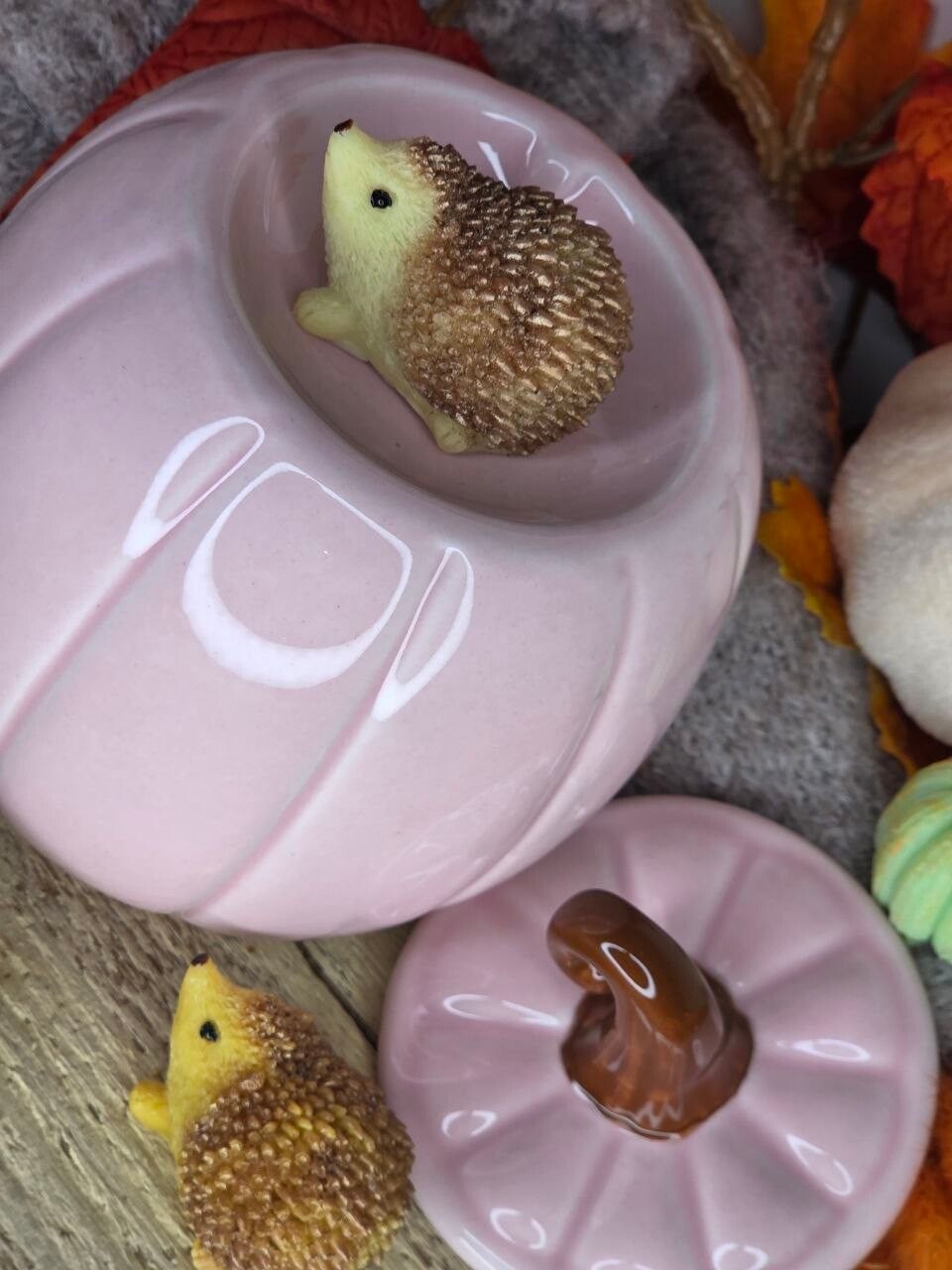 Waxbrander Pink Curly Pumpkin