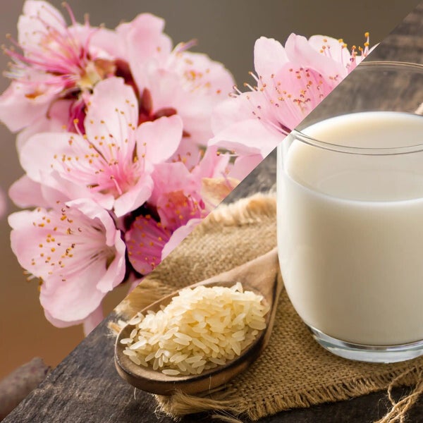 Lait de riz & cerisier