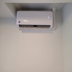 20230810_162450-standard.jpg