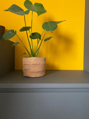 img_2010.jpeg