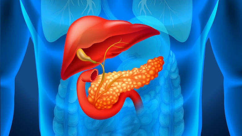 blog over alvleesklier kanlker door reconnective healing bilthoven