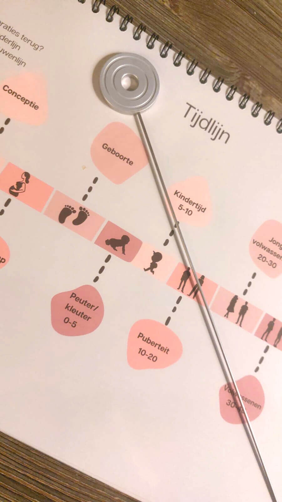 NEI door reconnective healing bilthoven