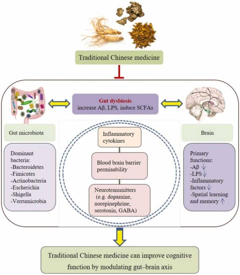 blog alzheimer door reconnective healing bilthoven