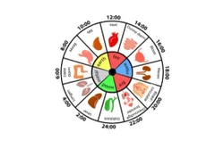 blog insomnoia/ slaap problemen door mreconnective healing bilthoven