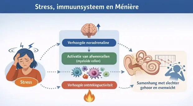 blog zieket van  Ménière door reconnective healing bilthoven