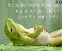 blog epilepsie door reconnective healing bilthoven