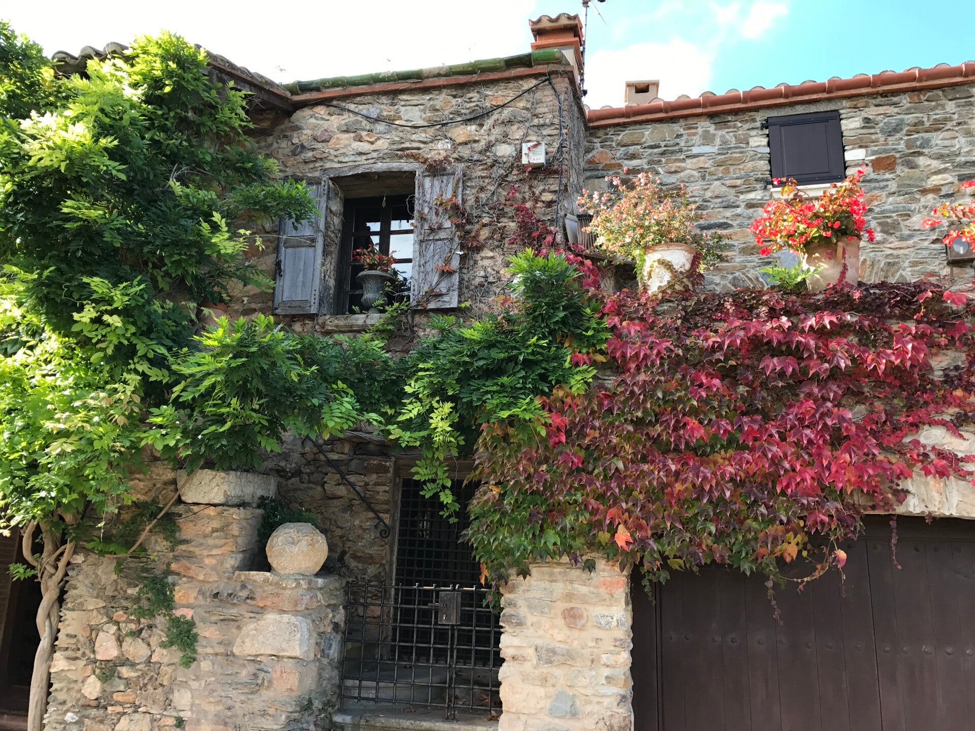 castelnou-02-standard.jpg