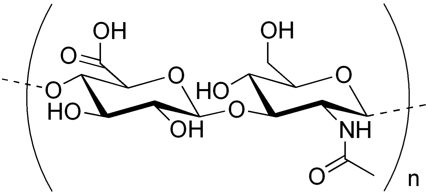 Molecola di acido ialuronico