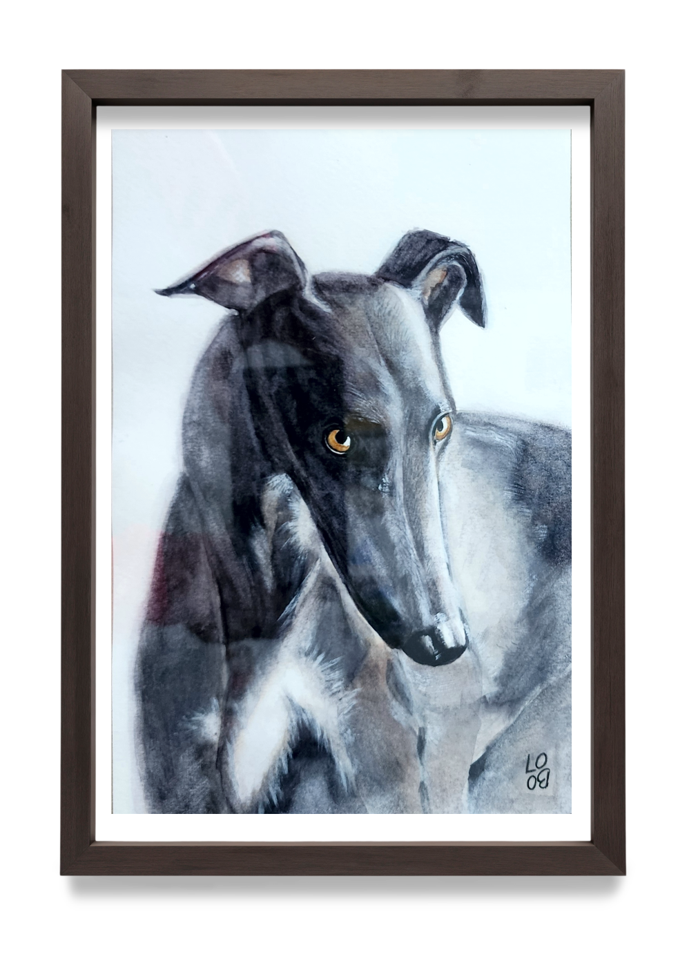 Regard de Galgo - Aquarelle originale 12 x 16 cm