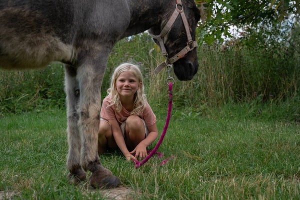 Natuurkampje zomer 2026 (13-14-15-16-17 juli)